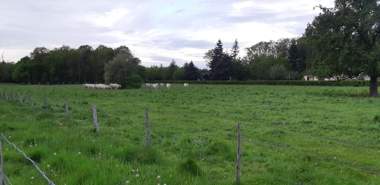 Beaumesnil  La Champetre 빌라 외부 사진